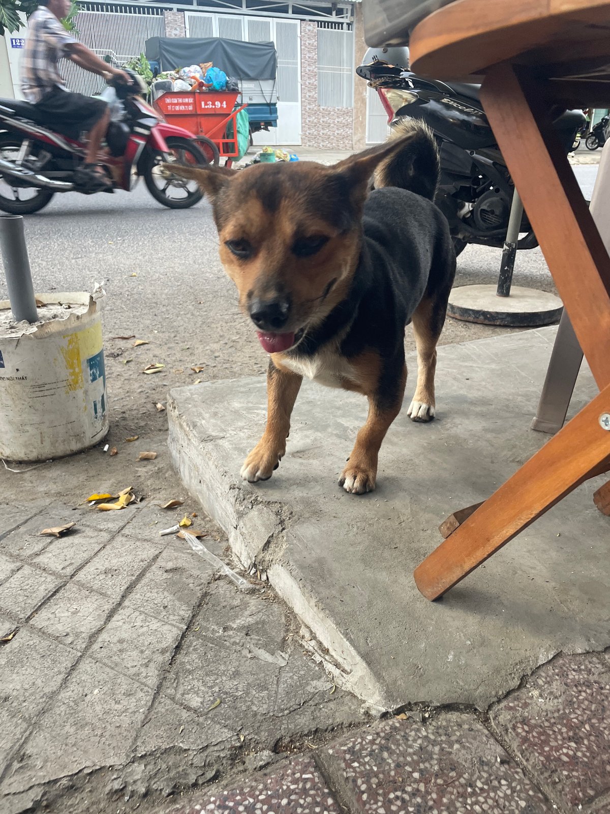 Morning street wandering and food stops in Nha Trang