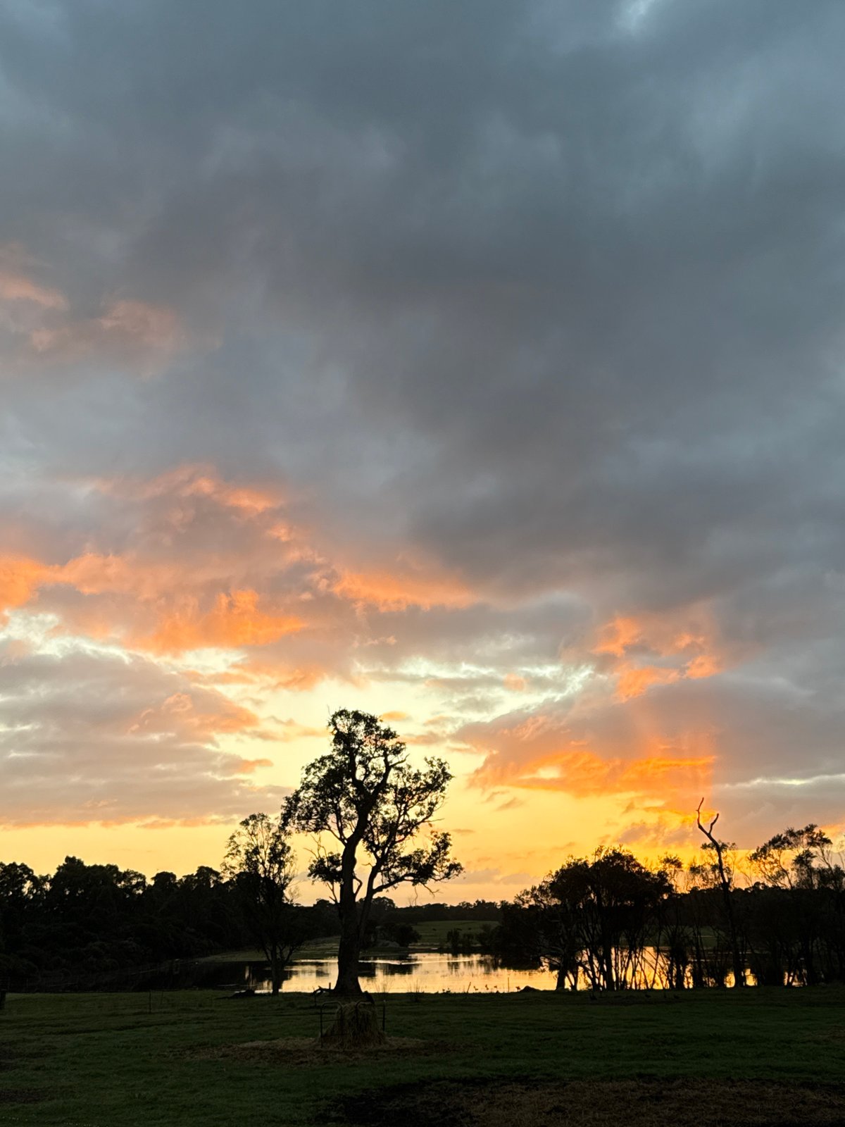 Sunset landscape shot from multiple angles, grass and sky