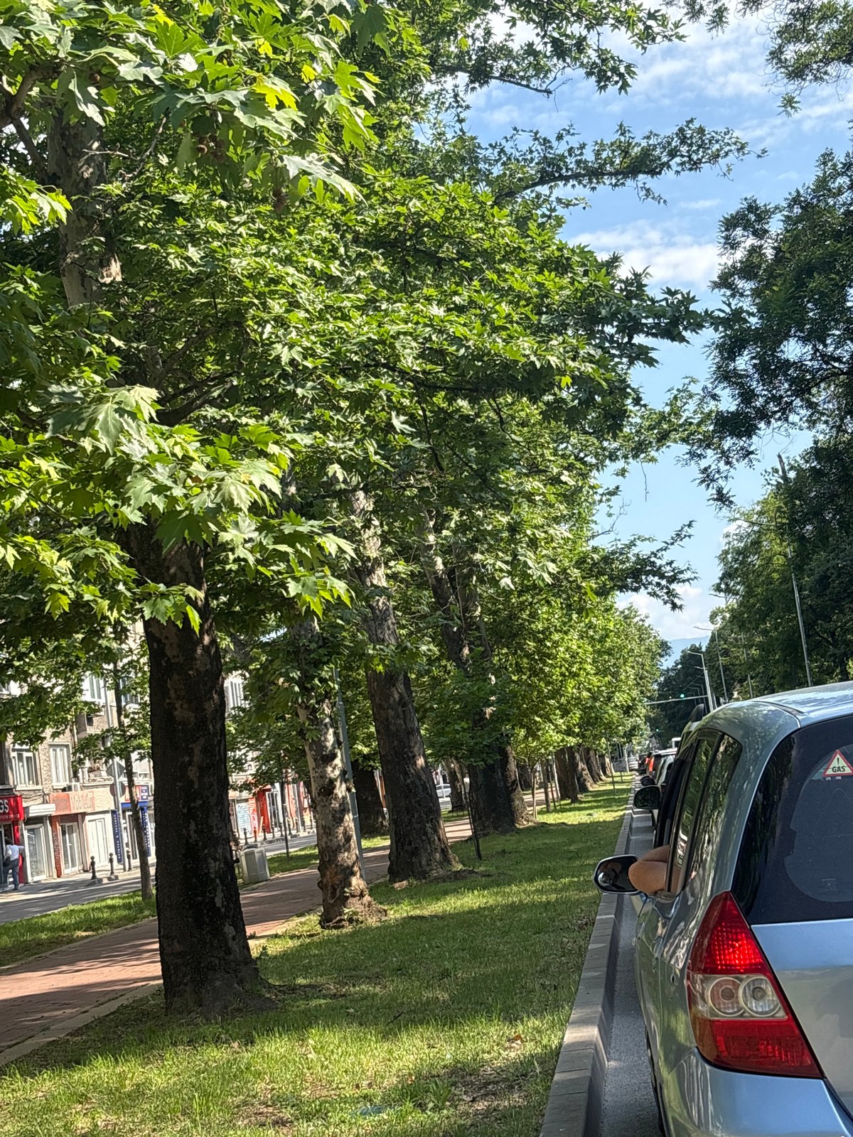 Hot afternoon street life documented in Plovdiv, Bulgaria