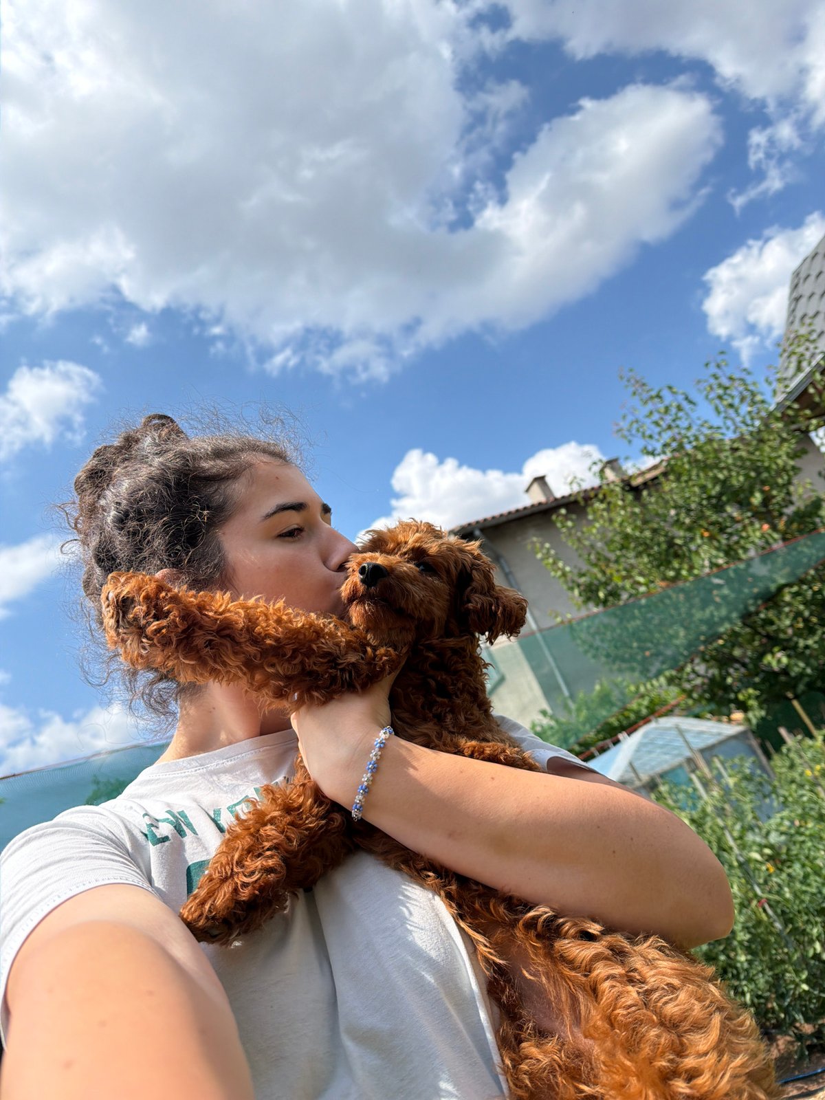 Backyard hangout with a poodle on a Sofia summer morning