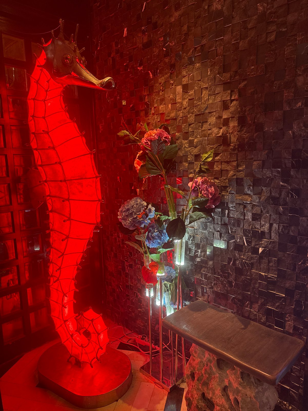 Evening dining captured at decorated Sofia restaurant with selfie