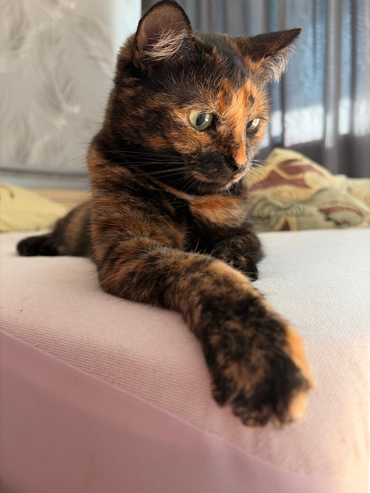 Woman documents spring morning with cats and flowers in Chaikovsky