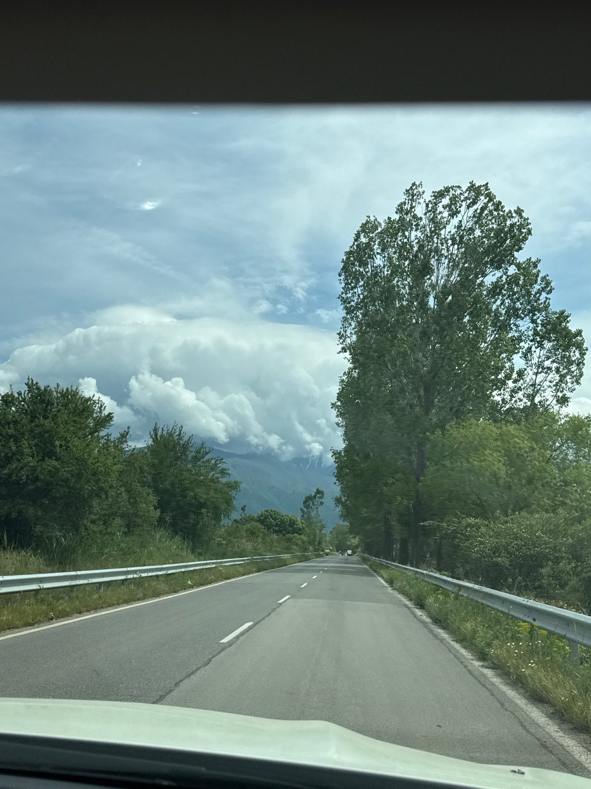 Vehicle travels tree-lined road in Kocherinovo, Bulgaria