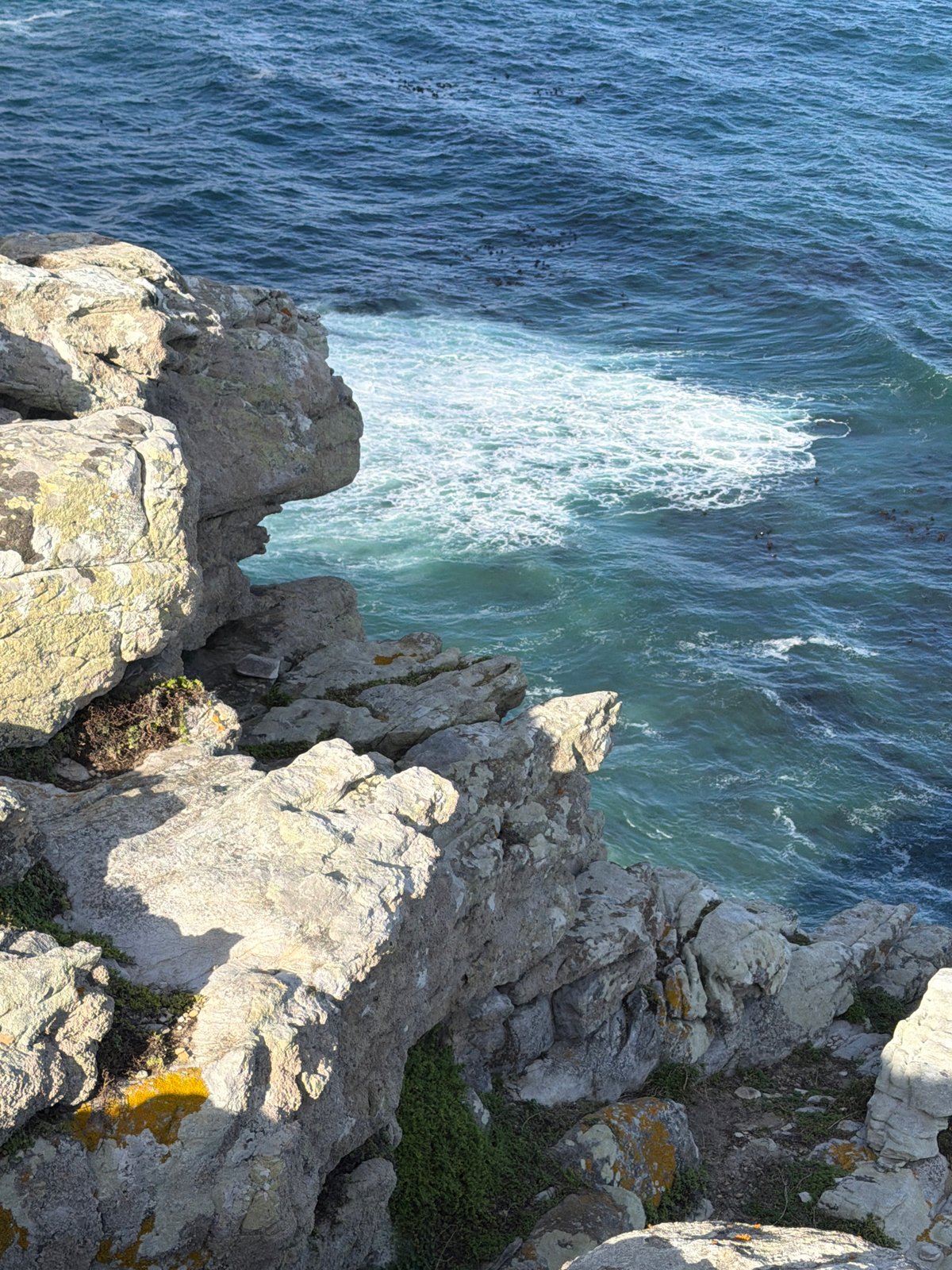 Visitors explore Cape Town's dramatic coastal cliffs during afternoon outing