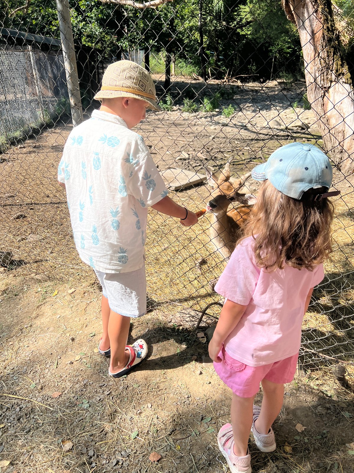 Afternoon at a small animal park in Holubyne, Ukraine