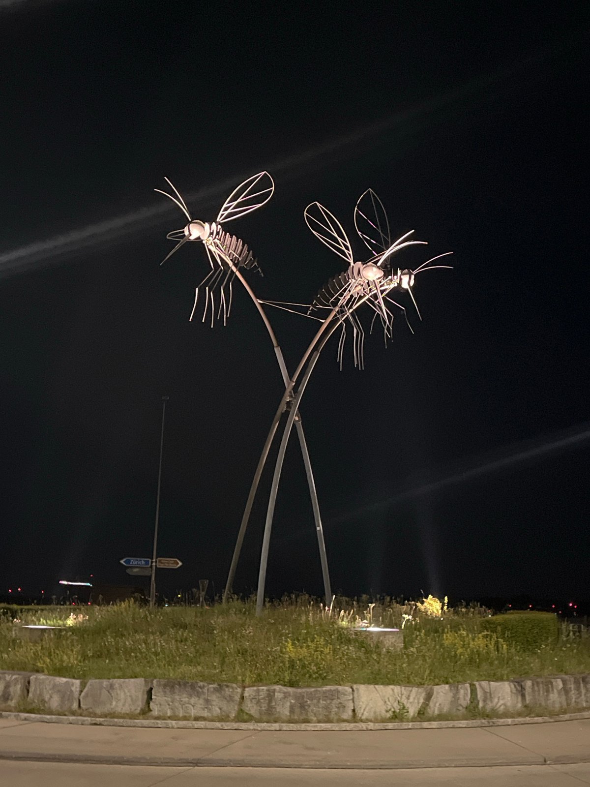 Metallic insect sculptures spotted in Dübendorf public art installation