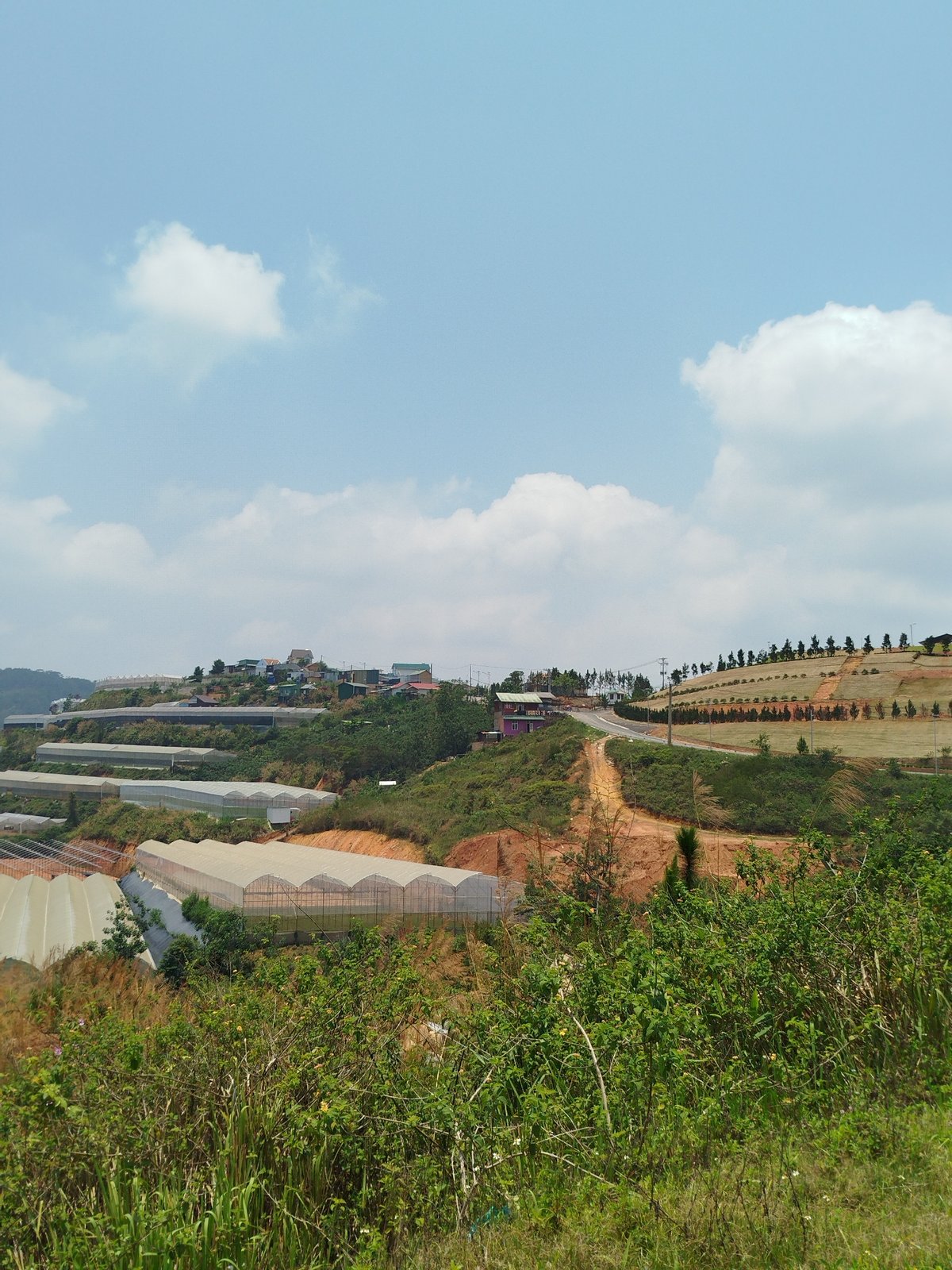 Rural Vietnam development: construction machinery, greenhouses, traditional farming observed