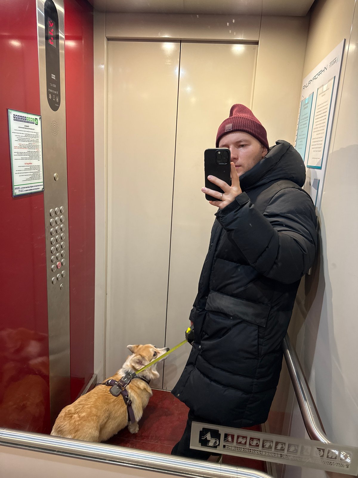 Person takes elevator selfie with corgi in Krasnoyarsk