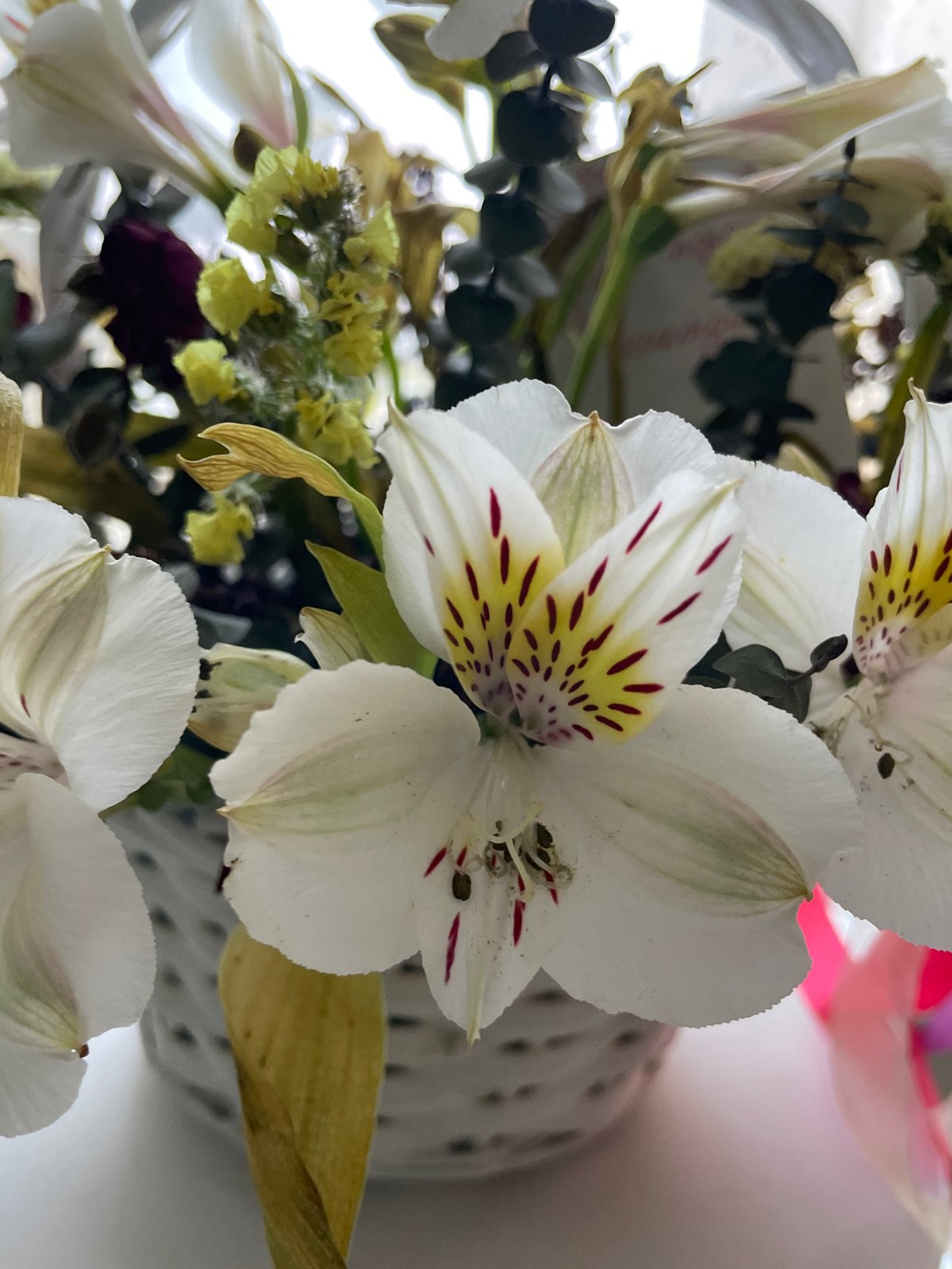 Morning garden life documented in rural Russian village