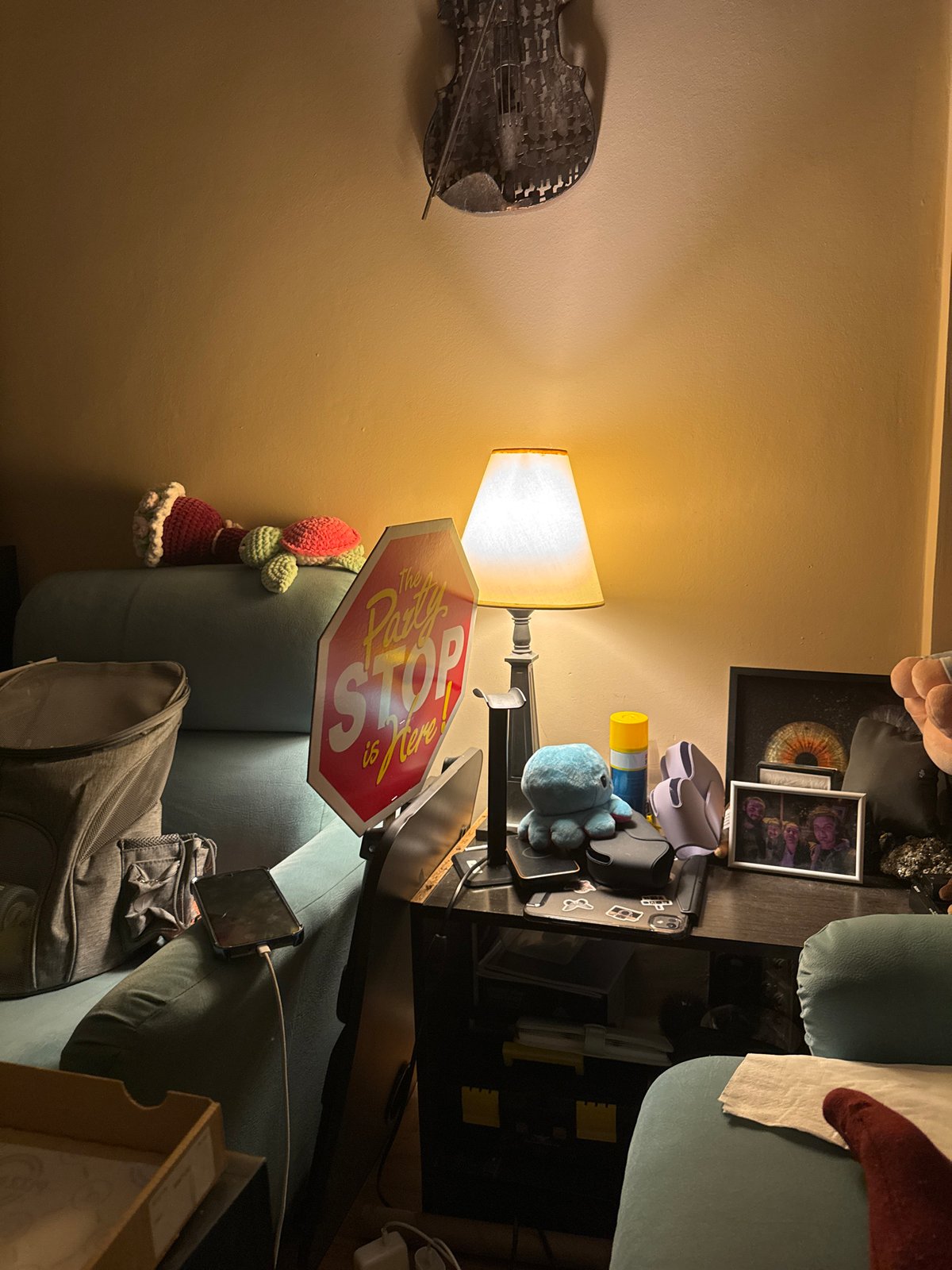 Sofia resident documents cluttered living space during evening hours