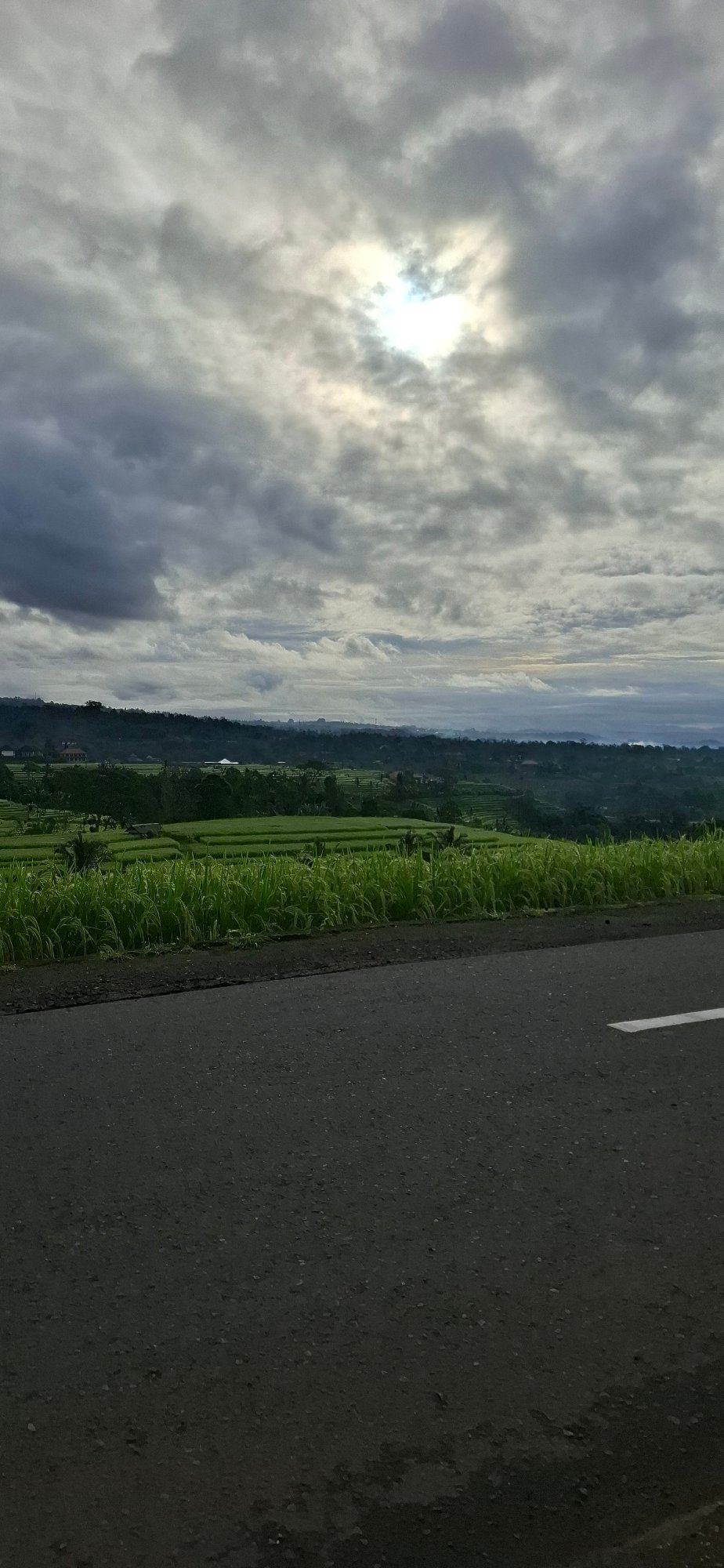 Rural road with rice terraces documented in Penebel, Indonesia