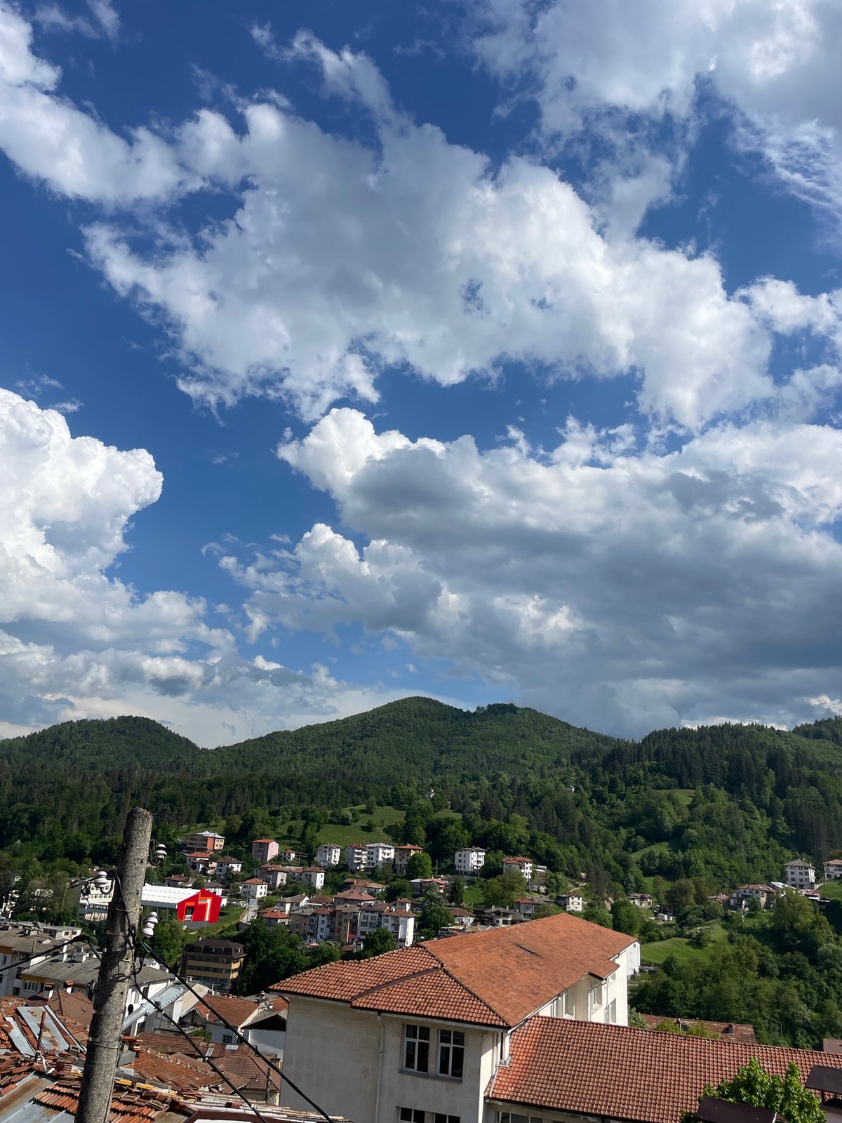 Quiet afternoon with cat companion in Bulgarian mountain town
