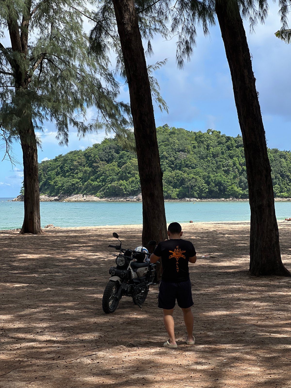 Beach afternoon: shoreline activity, parked bikes, and cats on the steps
