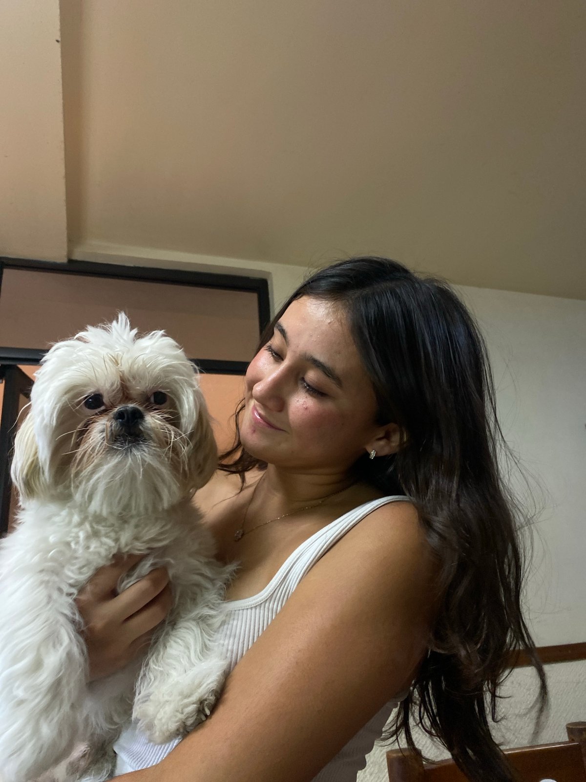 Nighttime scenes capture carnival lights, pets, and traffic moments