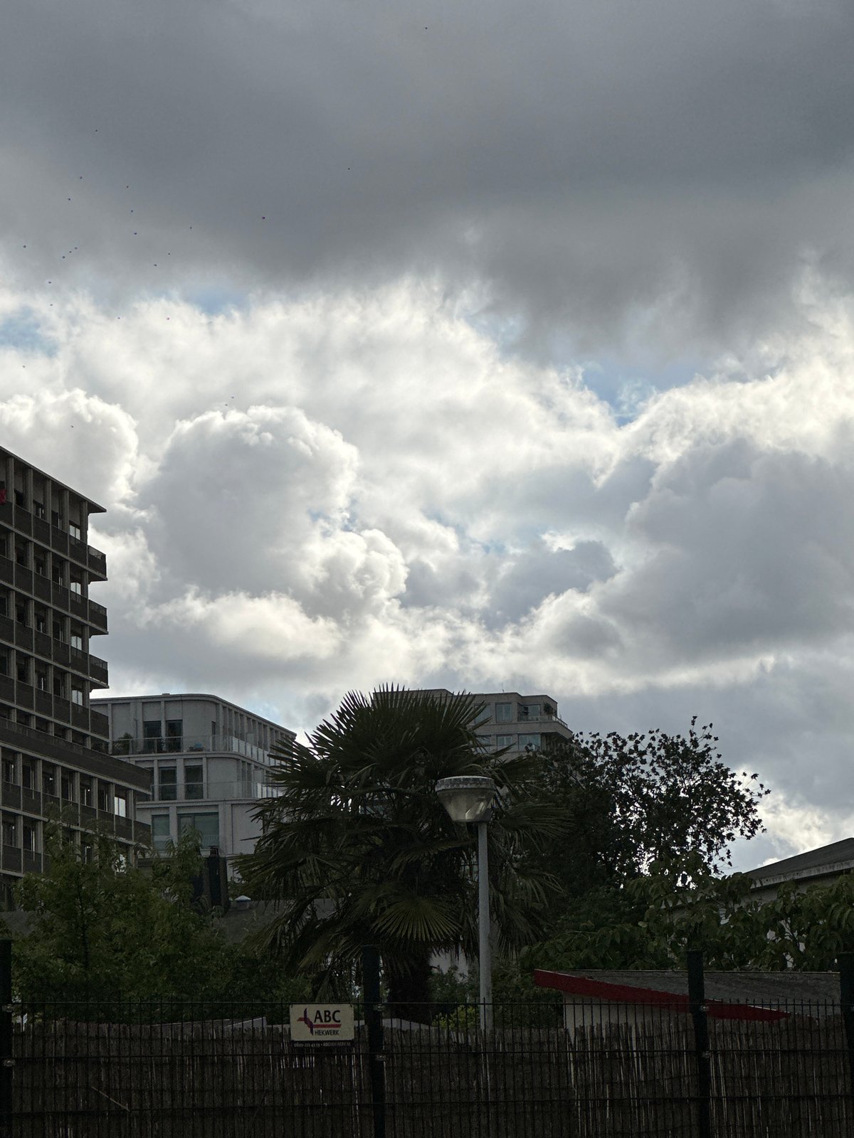 Afternoon Amsterdam walk: modern architecture, canals, and street cat