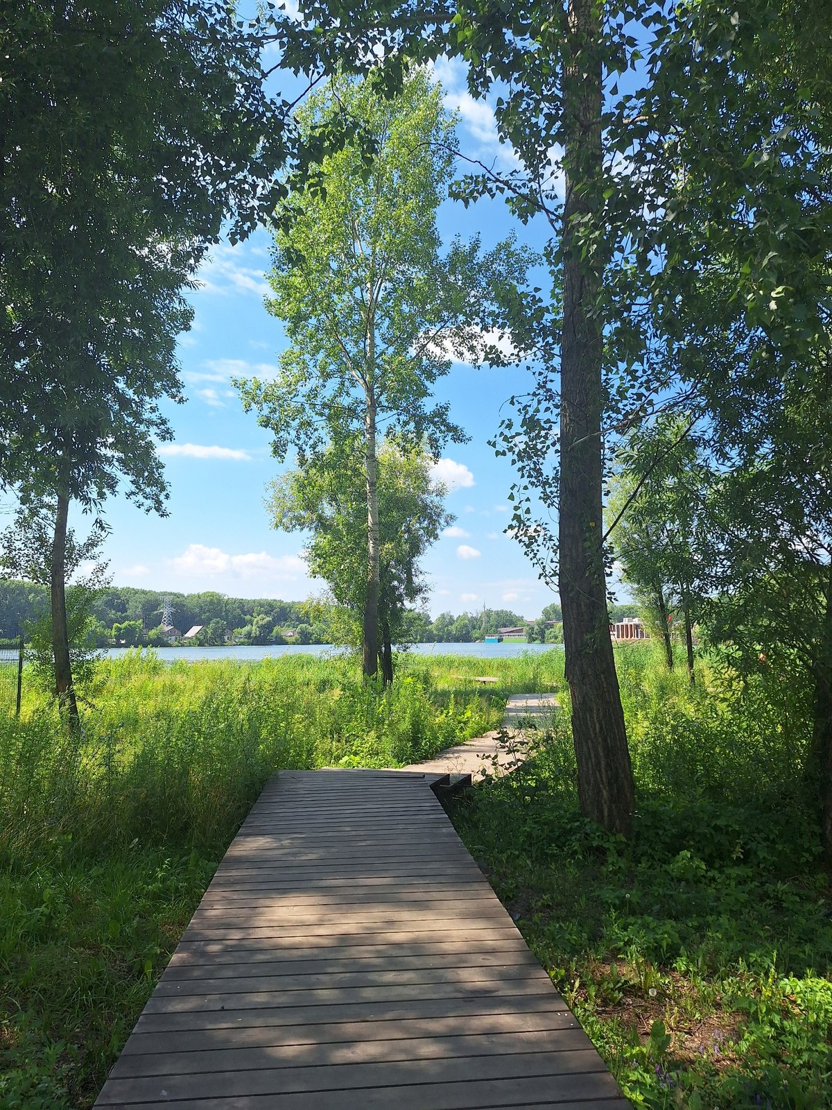 Peaceful lakeside park stroll in Ufa on a summer morning