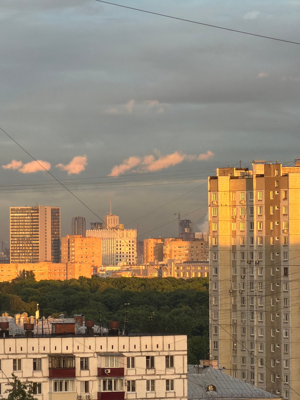 Child and parrot share quiet evening in Khimki apartment