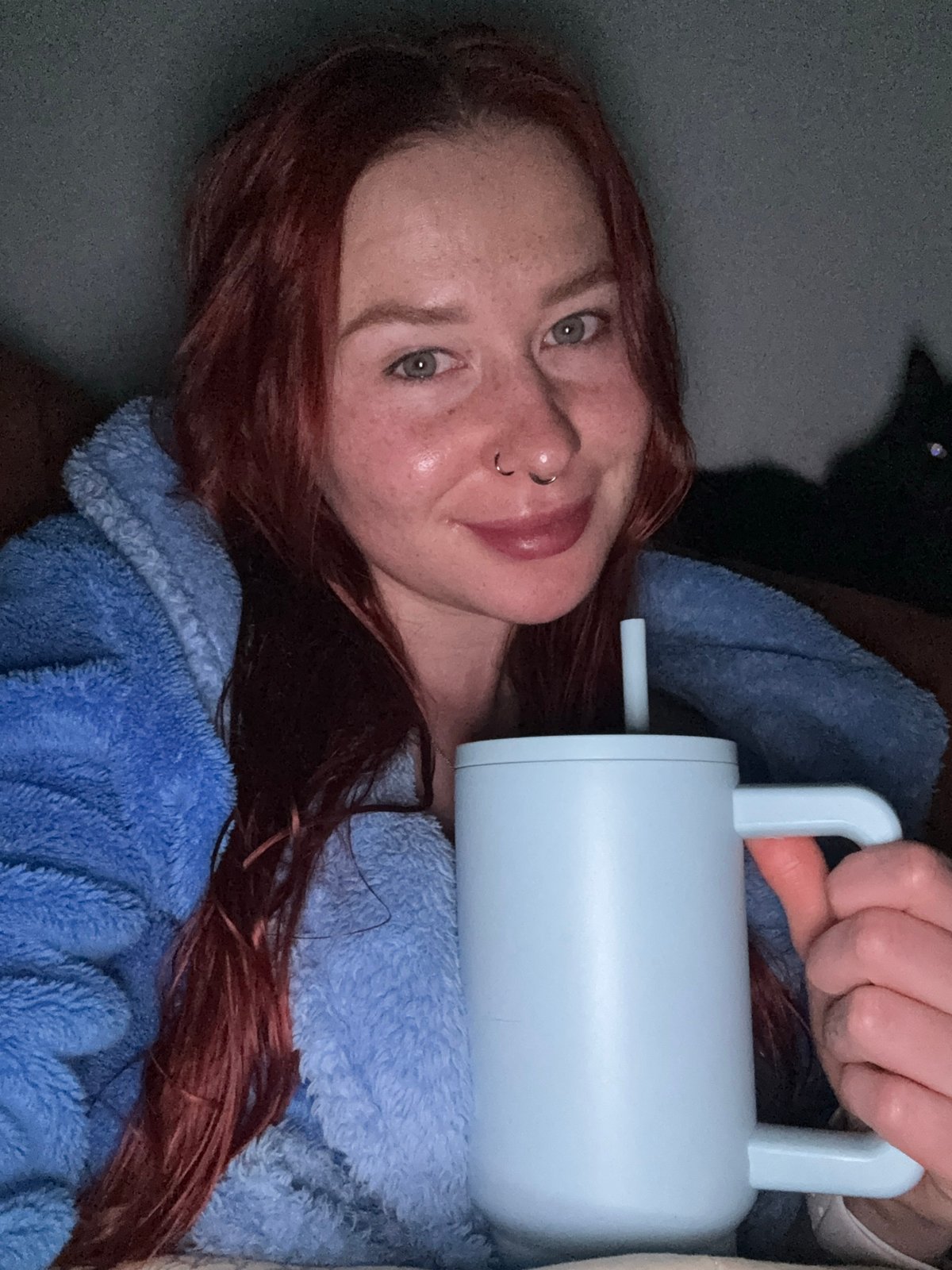 Quiet evening documented in Rostov-on-Don home with movie, cat