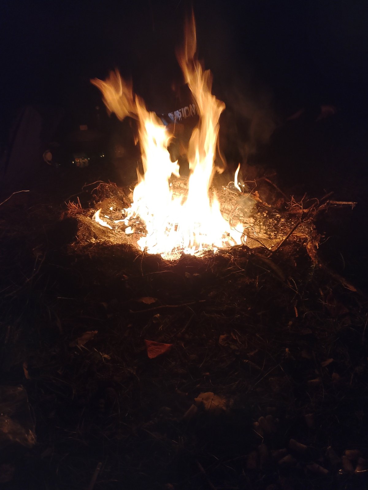 Bonfire burning at night in rural Rusalevka, Russia