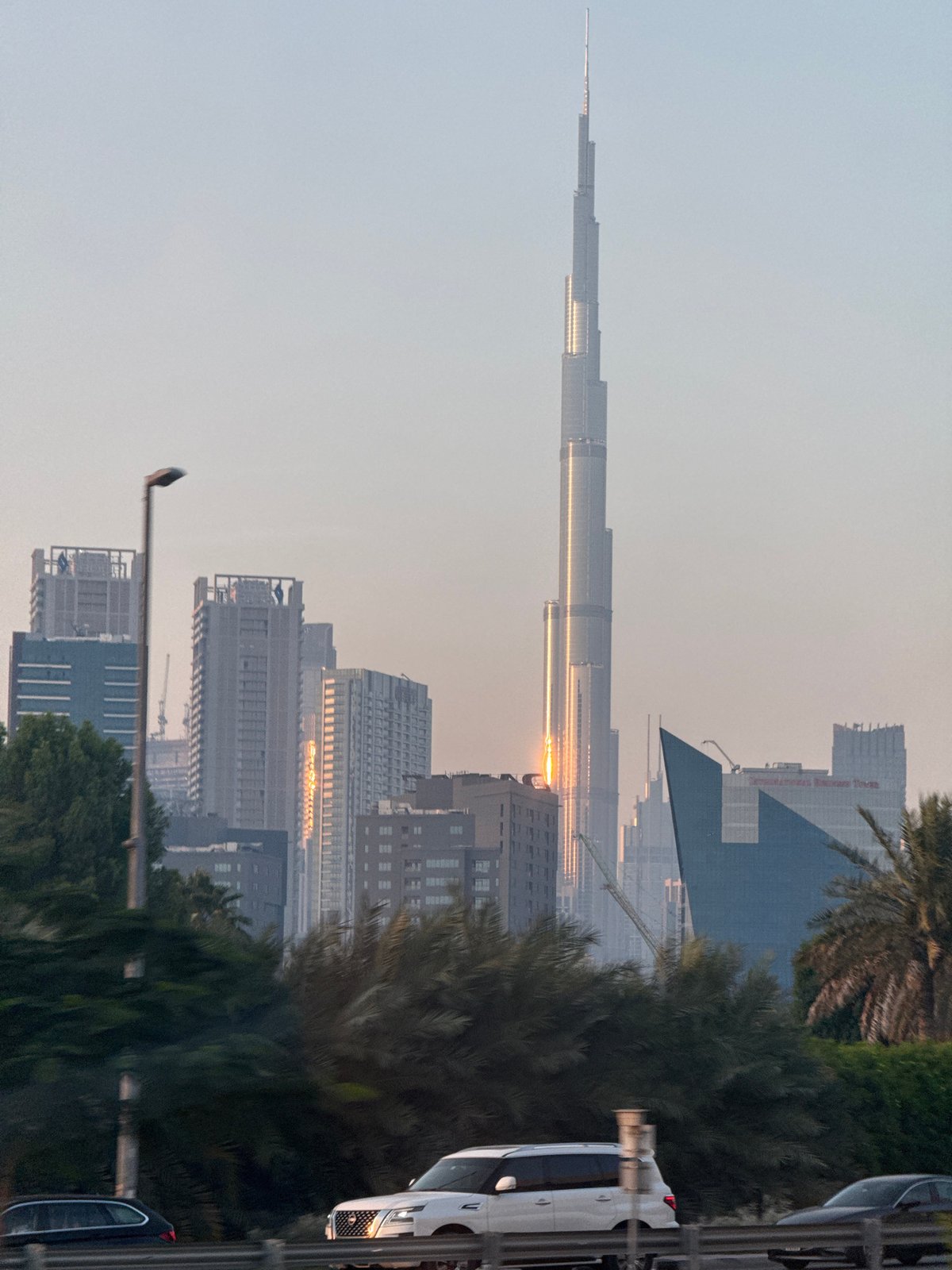 Dubai skyline with Burj Khalifa photographed through foliage