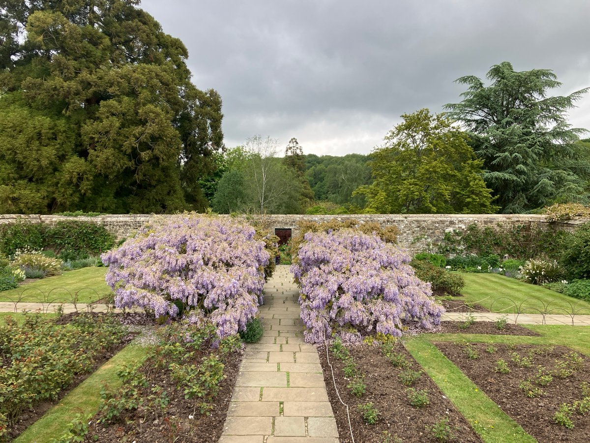 Formal garden with purple blooms documented in Sevenoaks