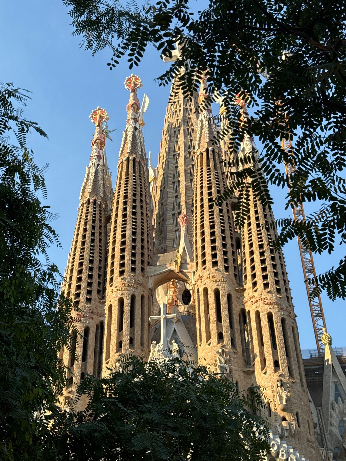 Close-up views of Sagrada Família's spires on a summer afternoon