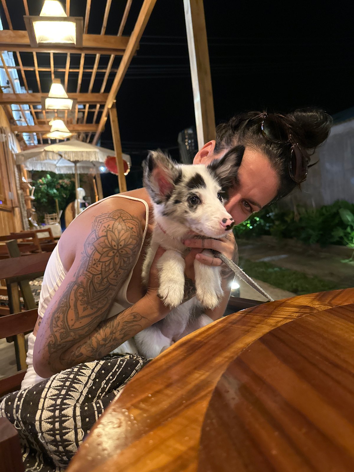 Casual restaurant hangout in Phu Thuy Ward with an adorable puppy