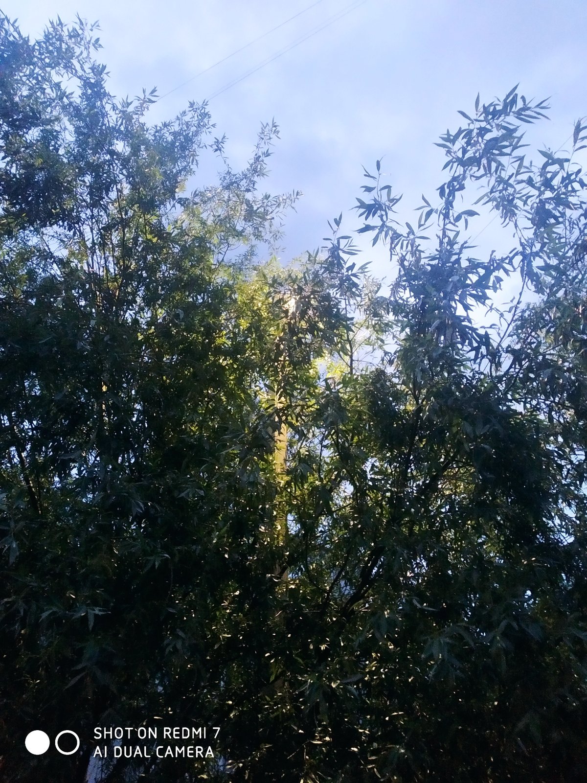 Quiet afternoon moments captured in Chaikovsky, Russia