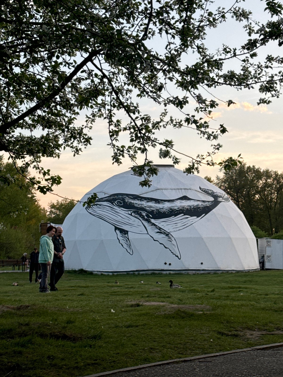 Whale-painted geodesic dome draws visitors in Krasnoyarsk park