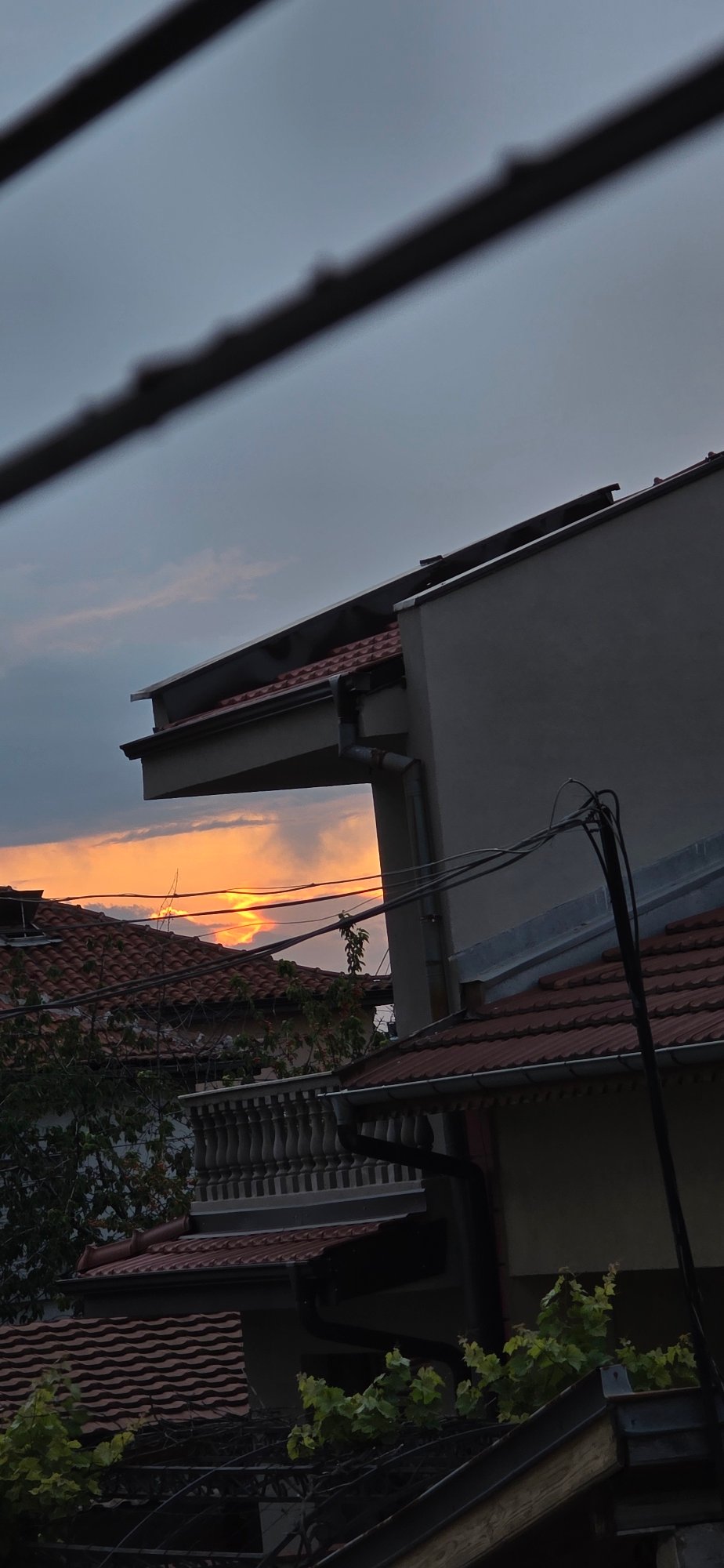 Evening moments with dog documented in Plovdiv, Bulgaria