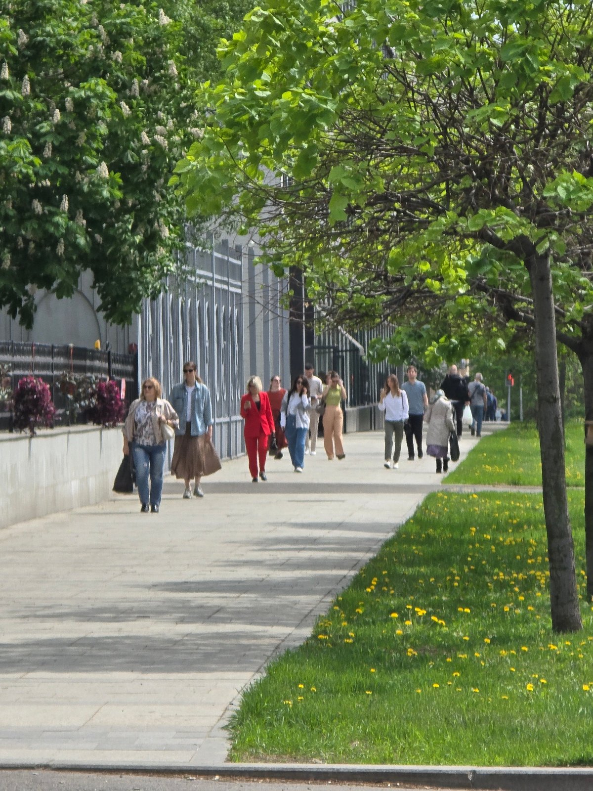 Pedestrians walk past flowering grass area in Moscow