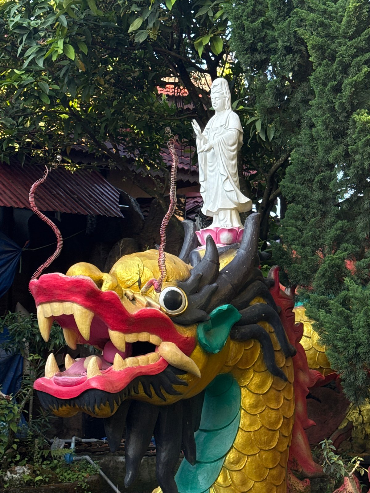 Buddhist temple grounds documented in Đà Lạt, Vietnam