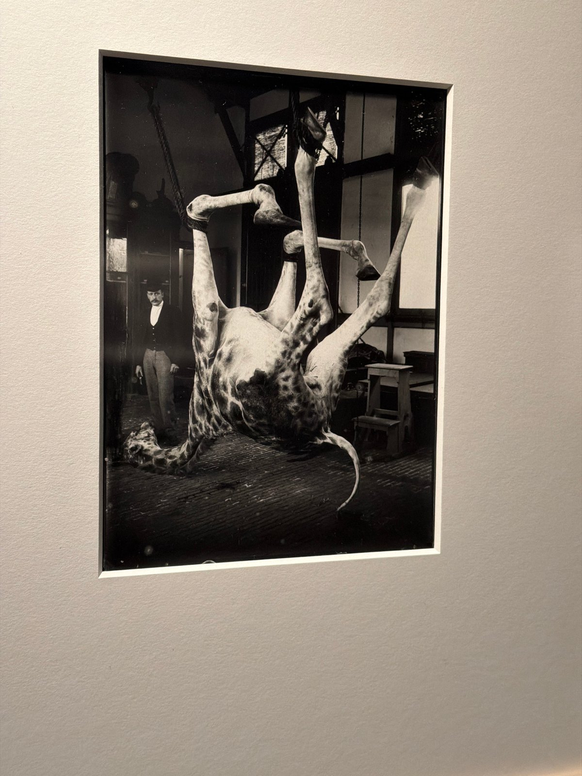Photography exhibition and Rotterdam streets, July 2026