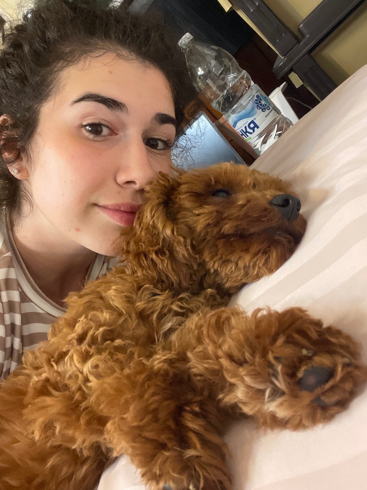 Woman and dog rest together in Sofia bedroom