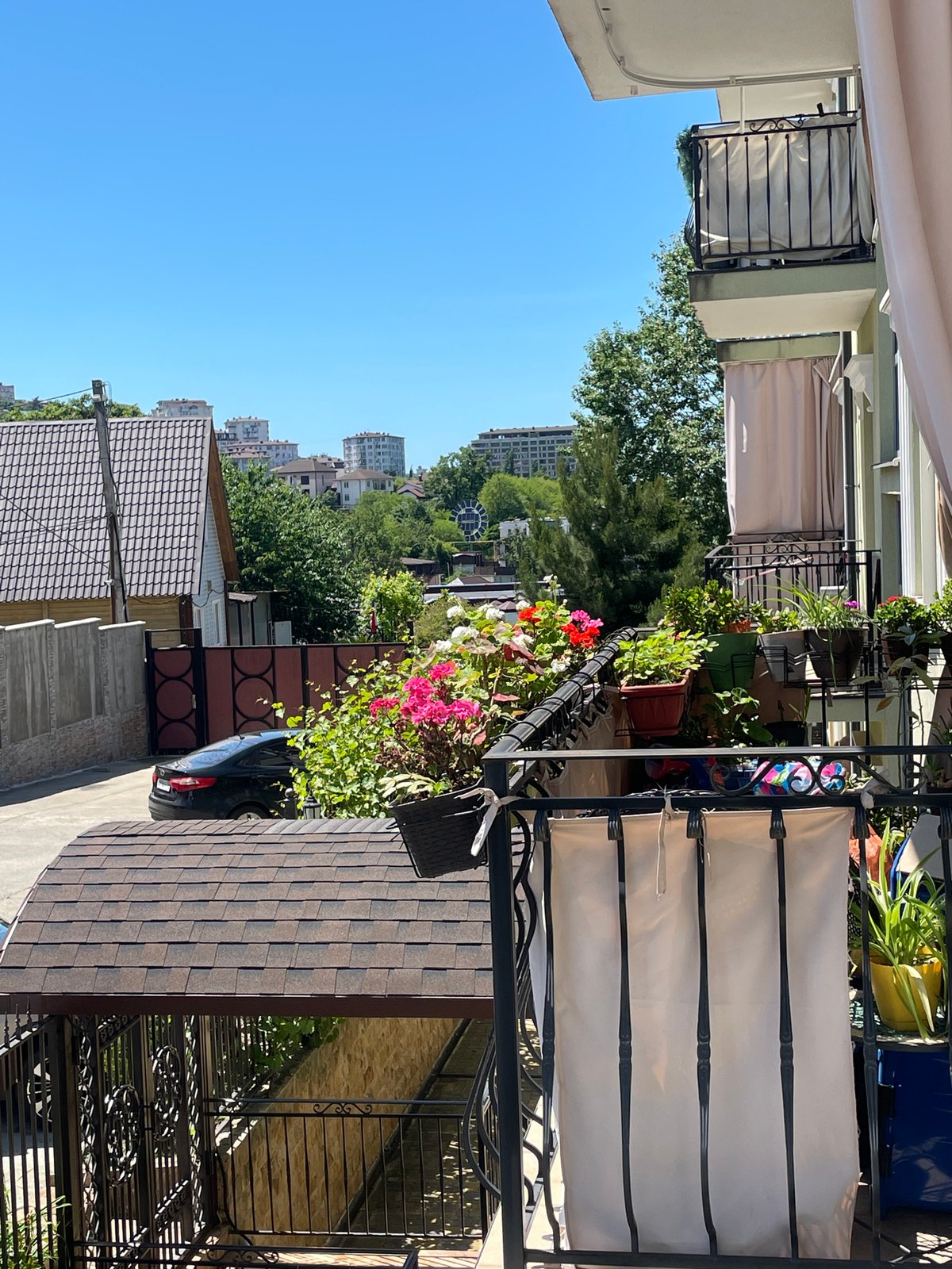 Domestic life documented in Sochi residential area during morning hours