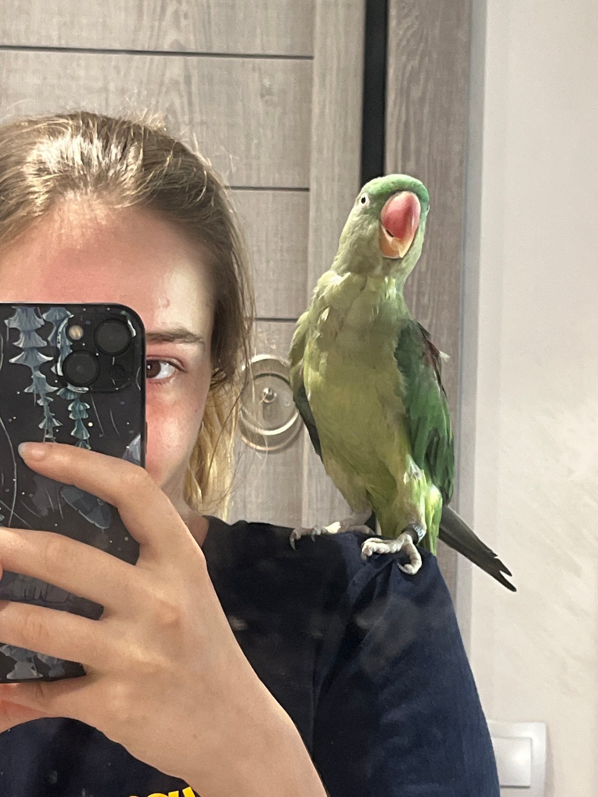 Green parrot selfie encounters captured across multiple indoor locations