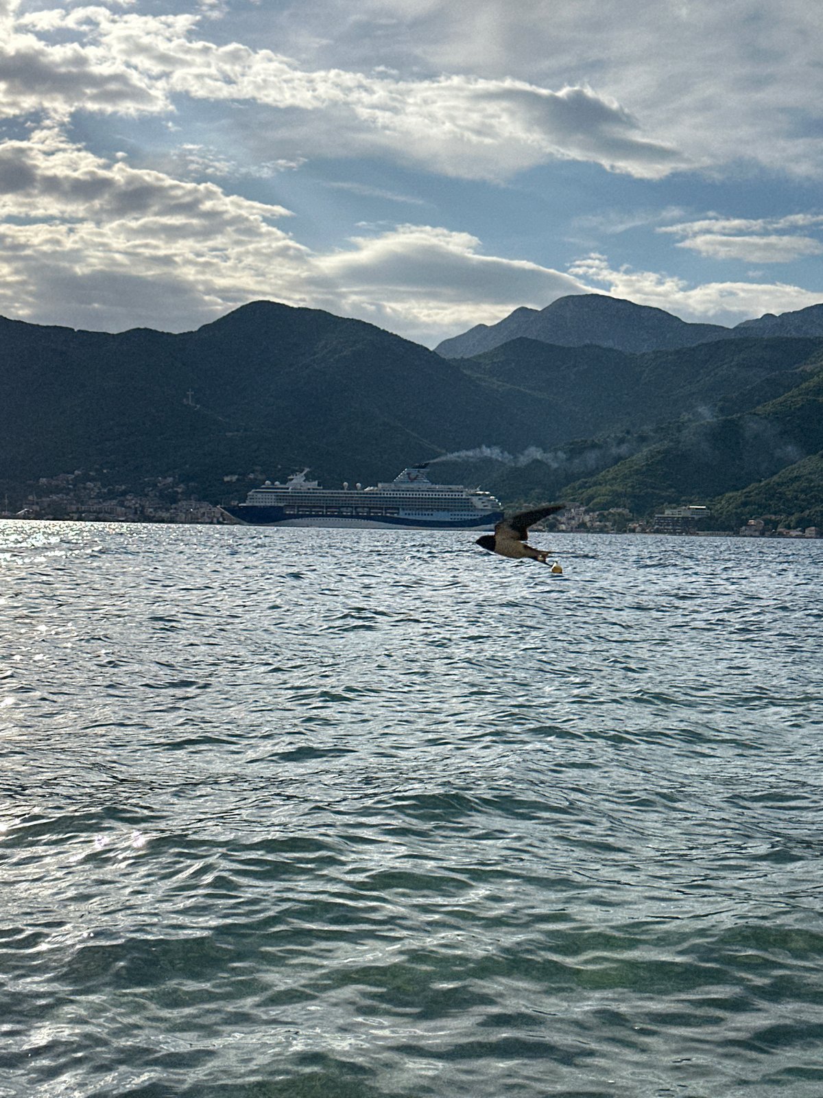 Cruise ship docks in Tivat, Montenegro bay