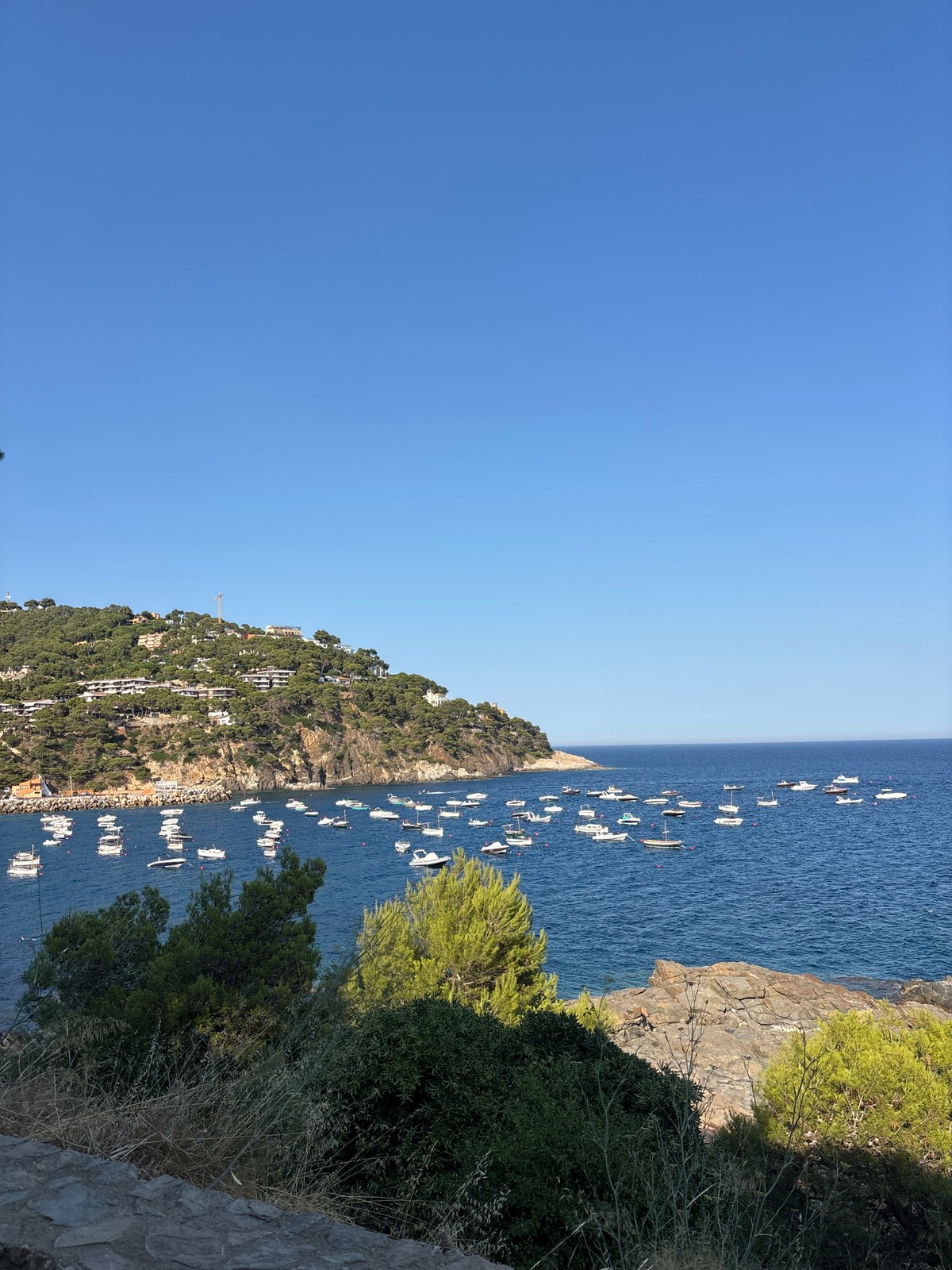 Llafranc coastline and village from the hilltop paths