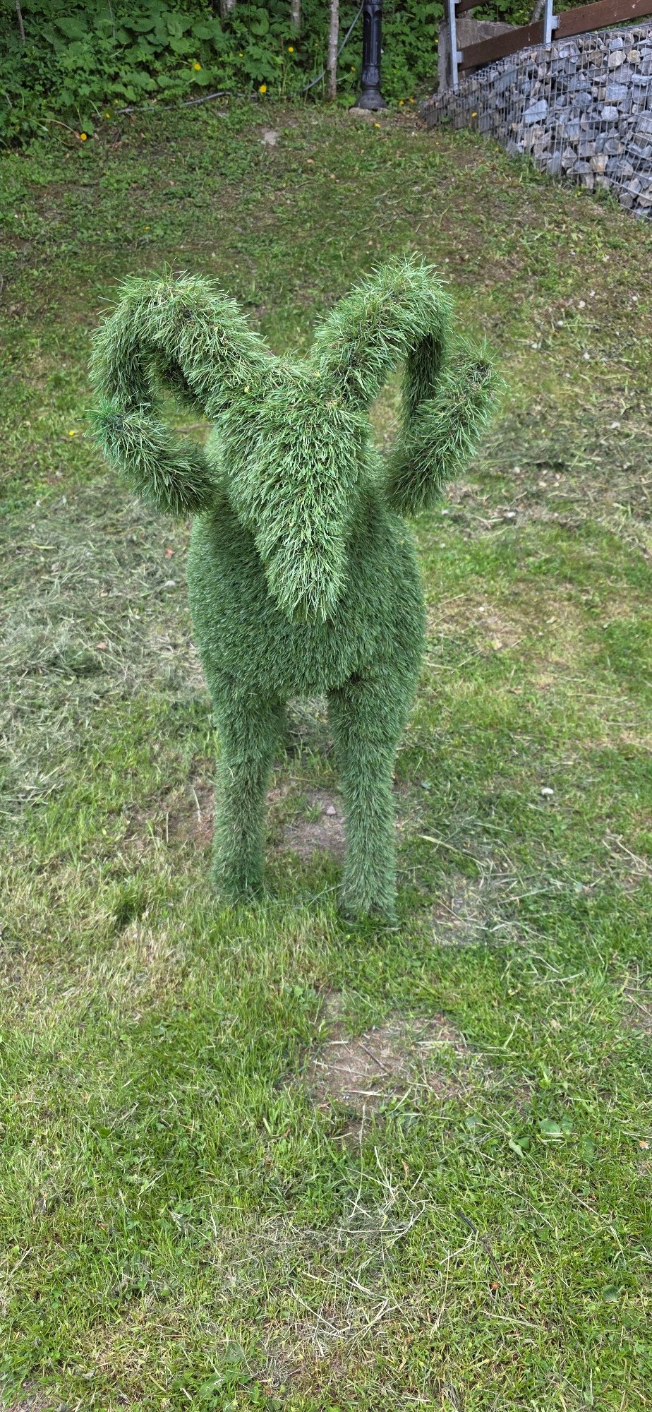Animal topiary sculptures spotted on lawn in Polianytsia, Ukraine