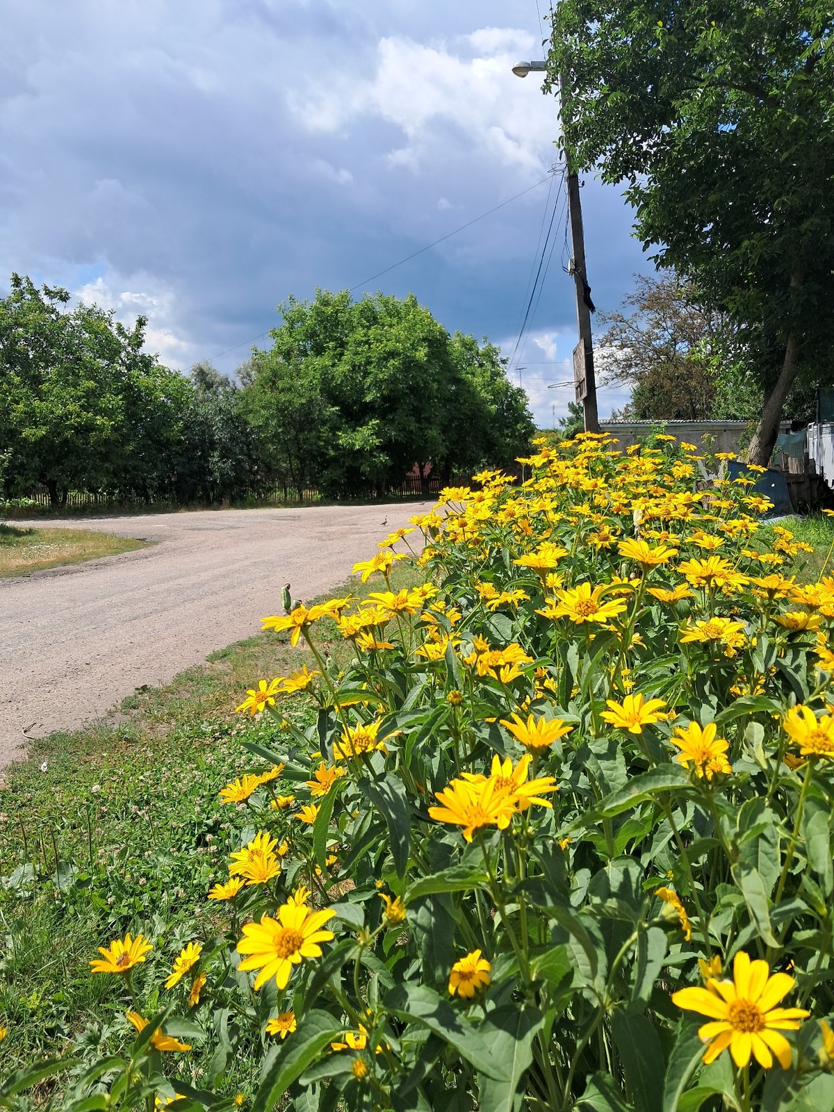 Sunny morning on a residential gravel road in Kremenchuk