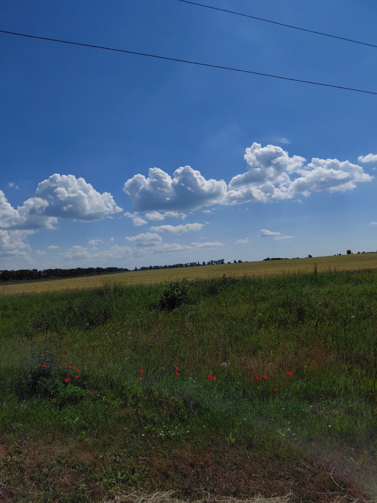 Open farmland and country roads on a clear summer morning