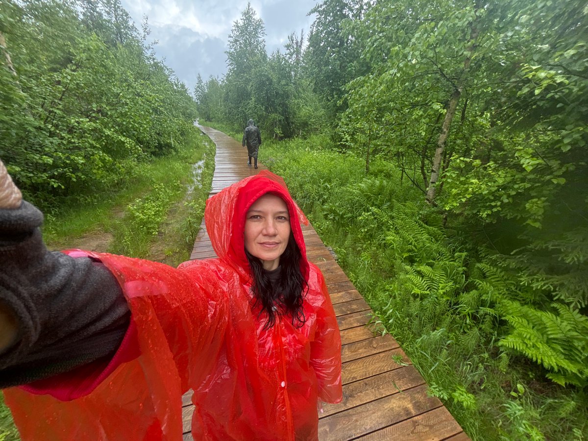 Hikers navigate wet forest boardwalks in rainy Russian wilderness