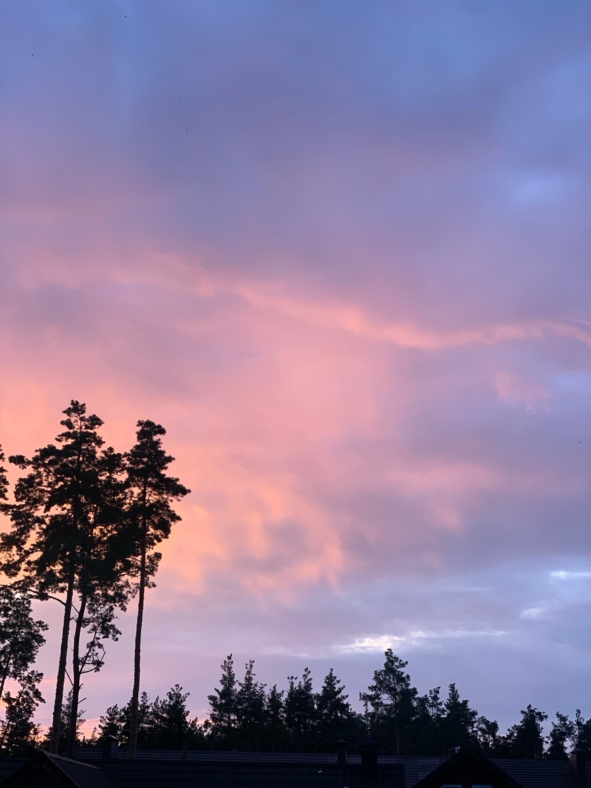 Pink and purple sunset fades over Hostomel rooftops and pines