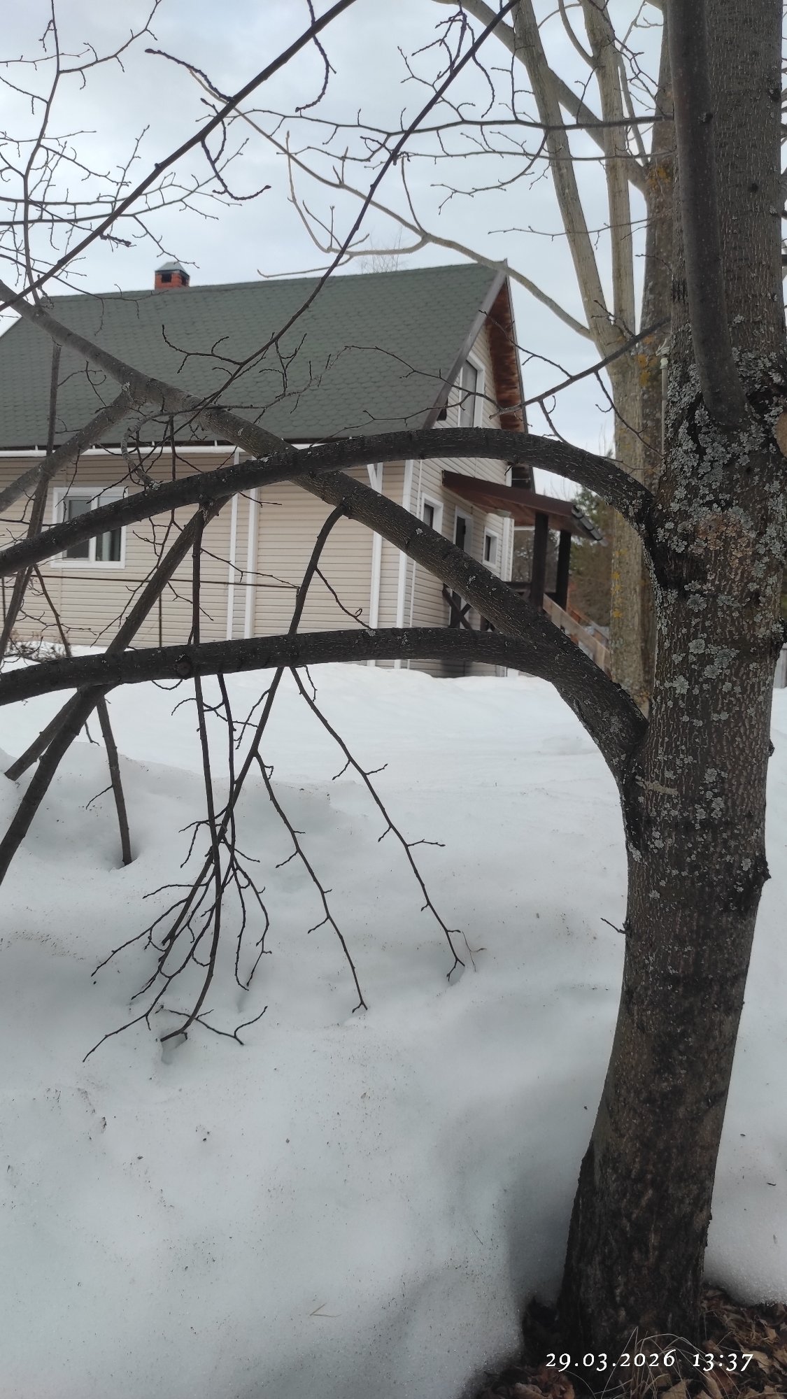 Winter scenes documented in Russian village of Поварёнки