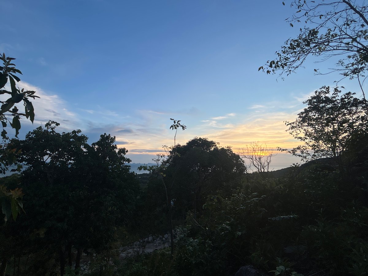 Sunset and birds captured in Ko Phangan evening skies