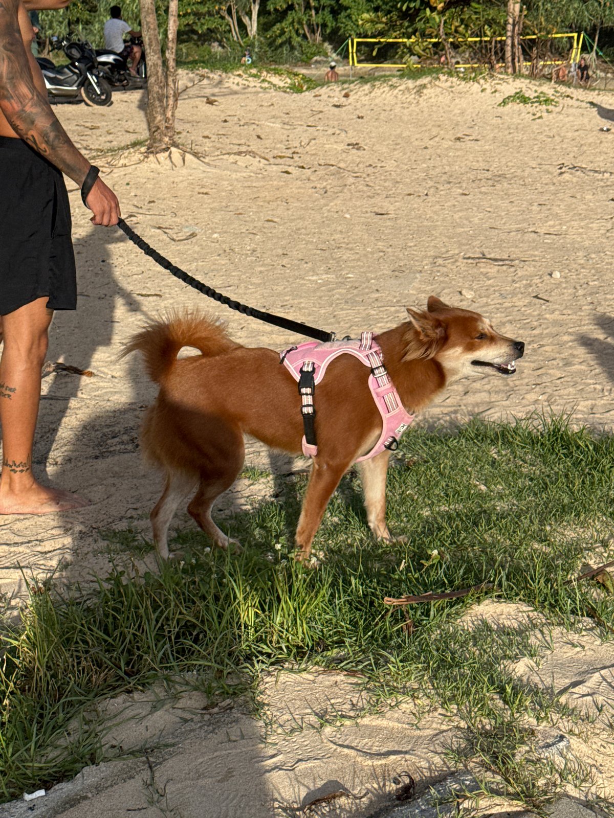 Beach activity documented at Rawai, Thailand during busy afternoon