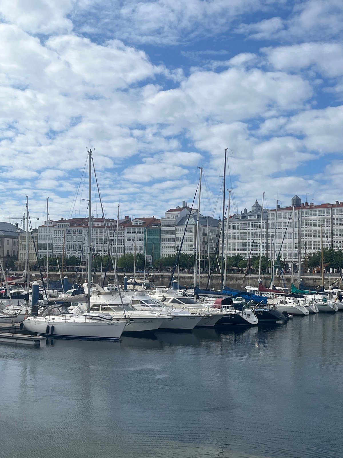 Afternoon harbor life documented in A Coruña, Spain
