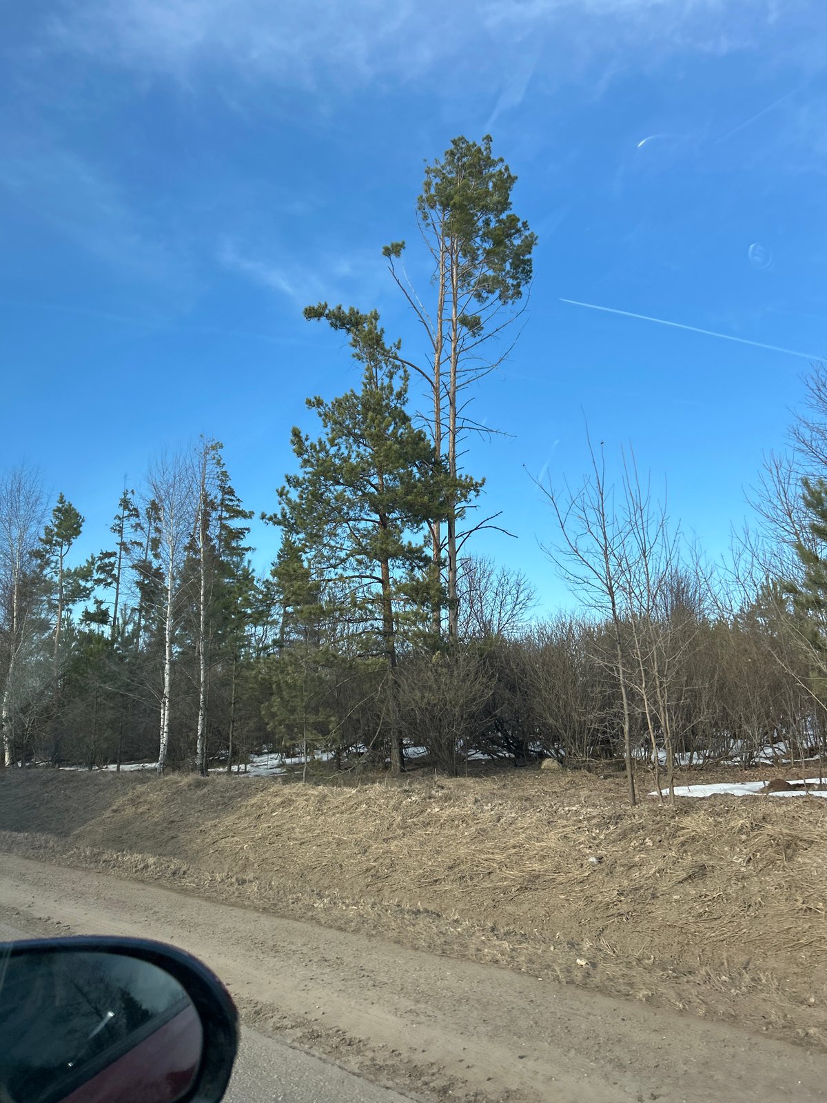 Rural roadside scenes documented near Foki, Russia
