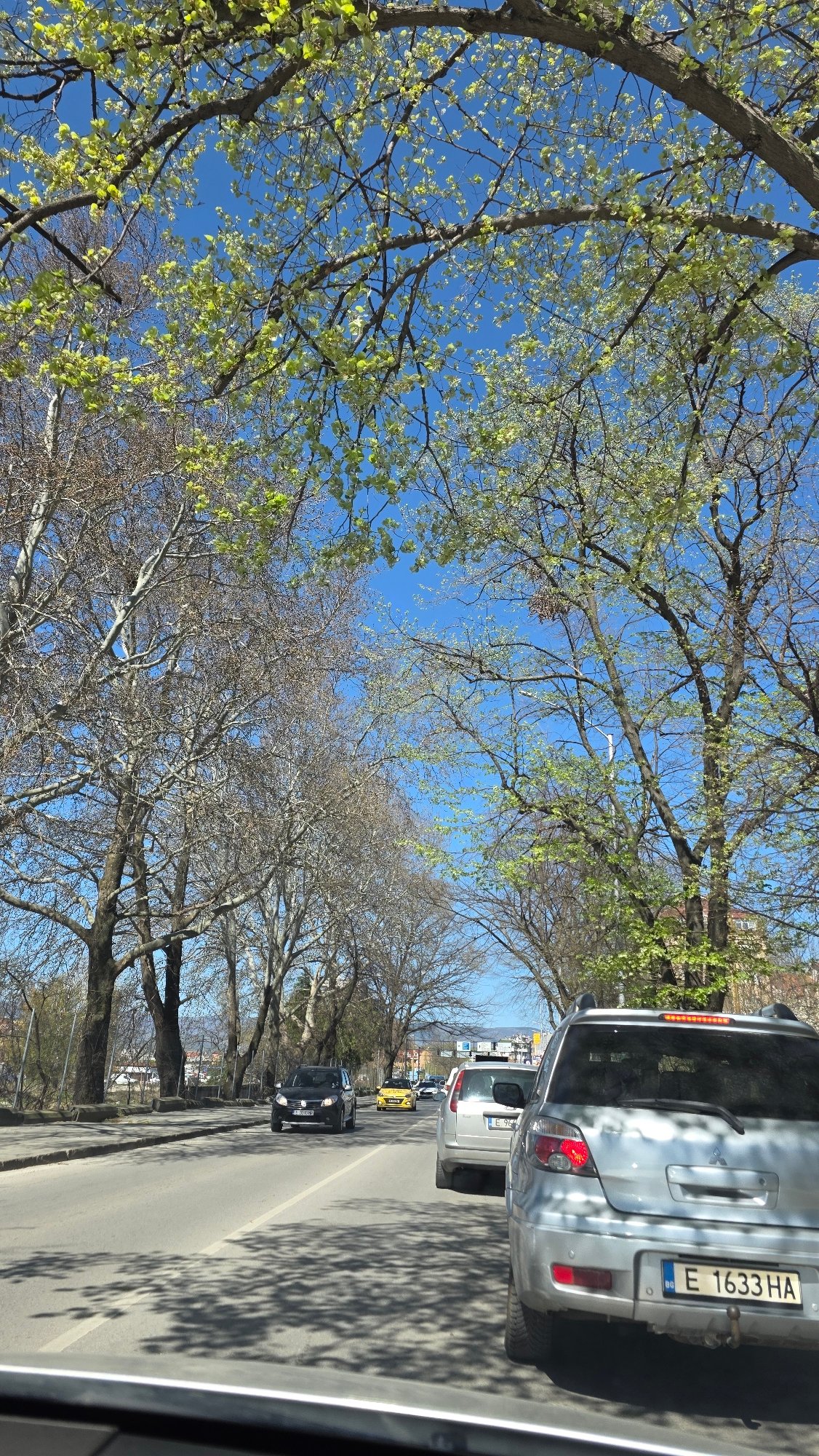 Morning scenes documented across Blagoevgrad: traffic, police, gym activity
