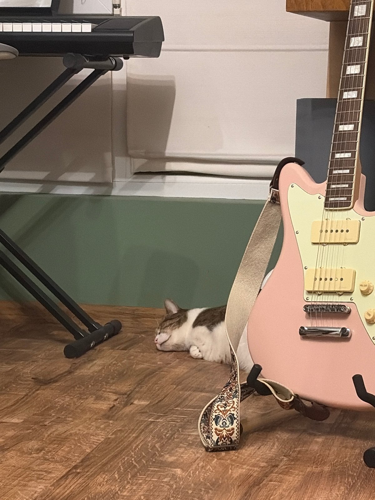 Cat naps in front of pink guitar and keyboard stand